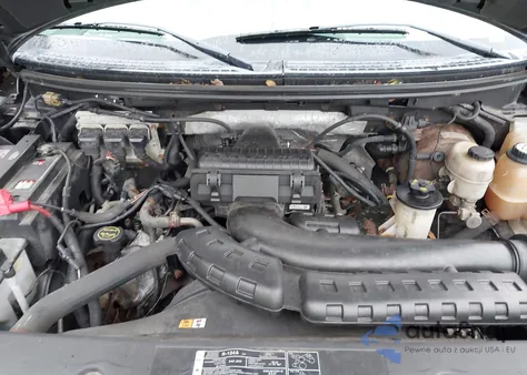 2006 Ford F-150 Fx4/Lariat/Xl/Xlt из США, поврежденный, VIN 1FTPX14596NB87000